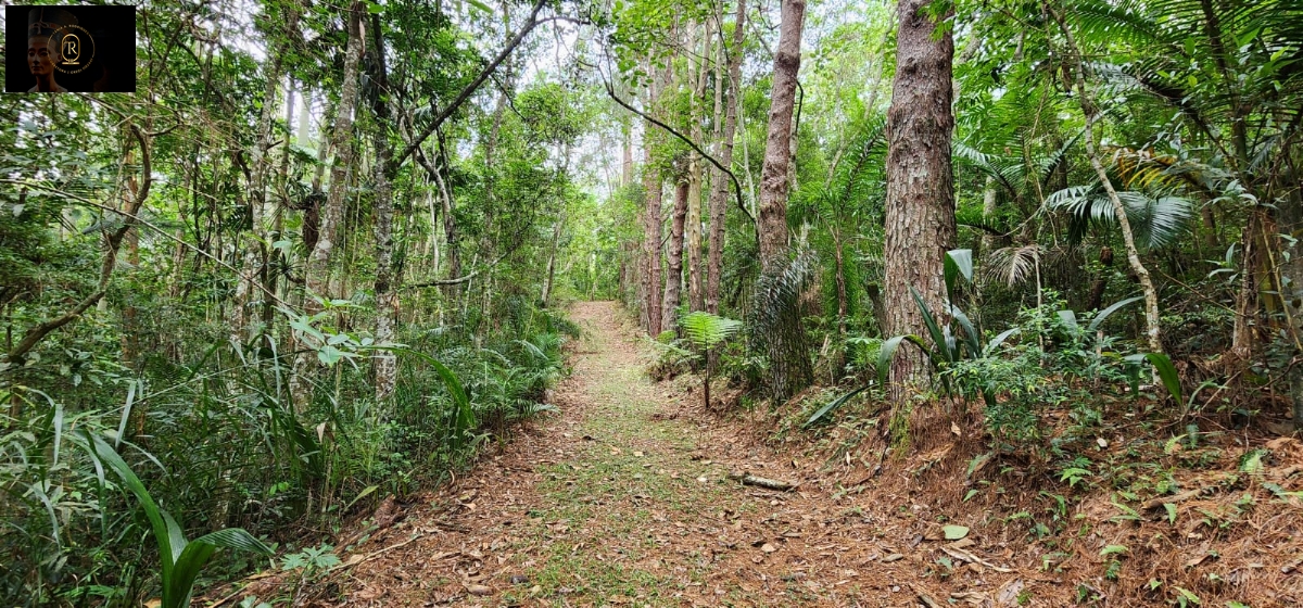 Chácara em , São Roque - Foto 27